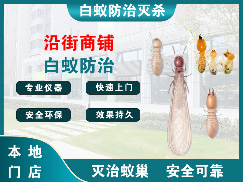 乐清市沿街商铺白蚁防治