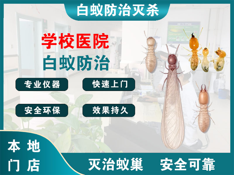 乐清市学校医院白蚁防治