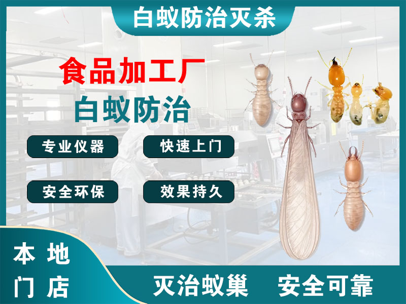 乐清市食品加工厂白蚁防治