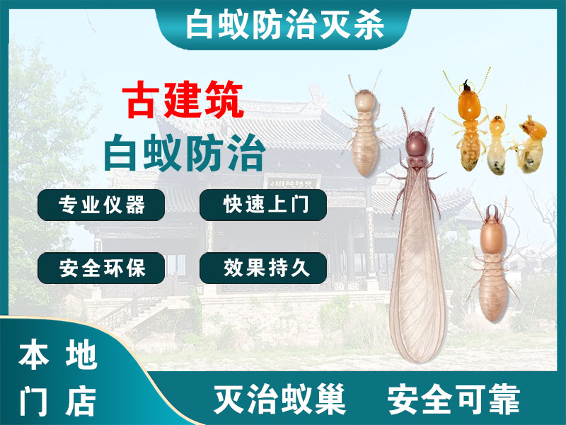 乐清市古建筑白蚁防治