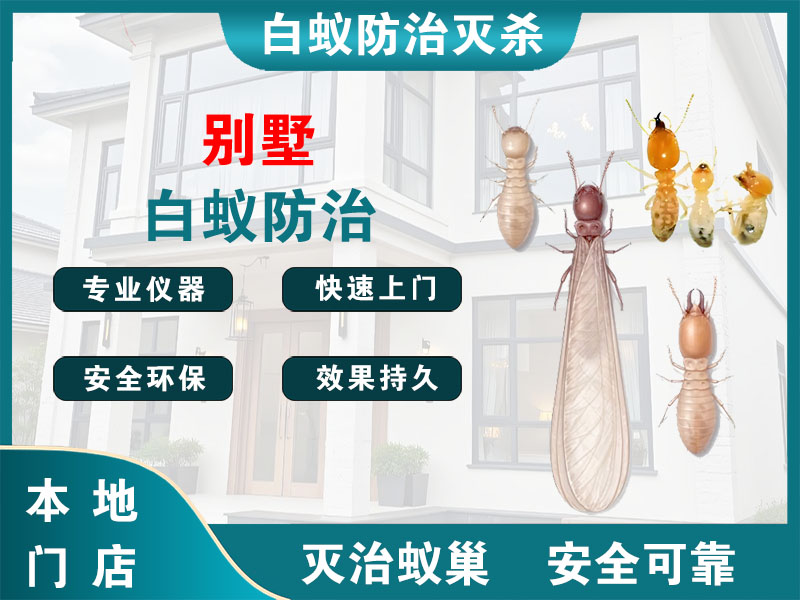乐清市别墅白蚁防治
